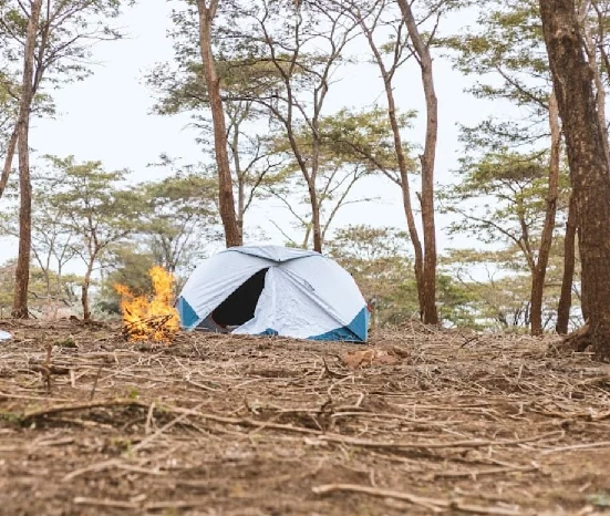 Tent pitched beneath trees near the river